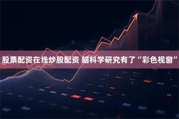 股票配资在线炒股配资 脑科学研究有了“彩色视窗”