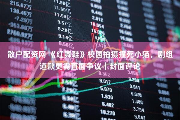 散户配资网 《红舞鞋》校园拍摄撞死小猫，剧组道歉更需直面争议｜封面评论