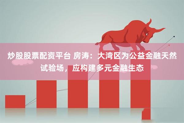炒股股票配资平台 房涛：大湾区为公益金融天然试验场，应构建多元金融生态